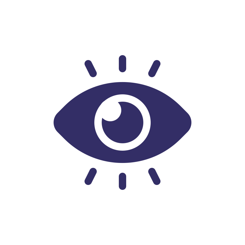 Our Vision